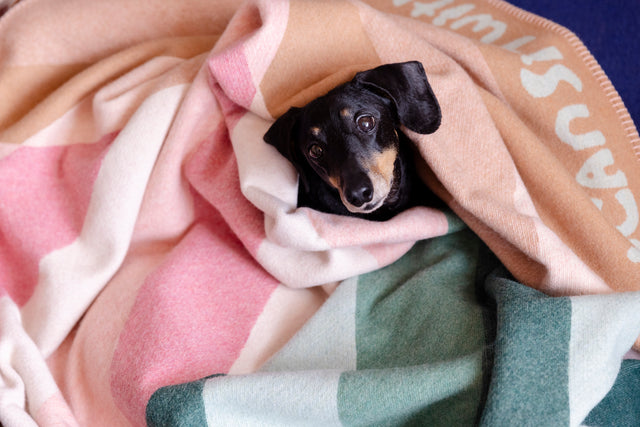 'YCSWU' Diagonal recycled wool blanket