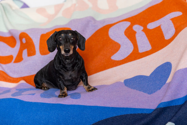 'YCSWU' Bennachie recycled wool blanket